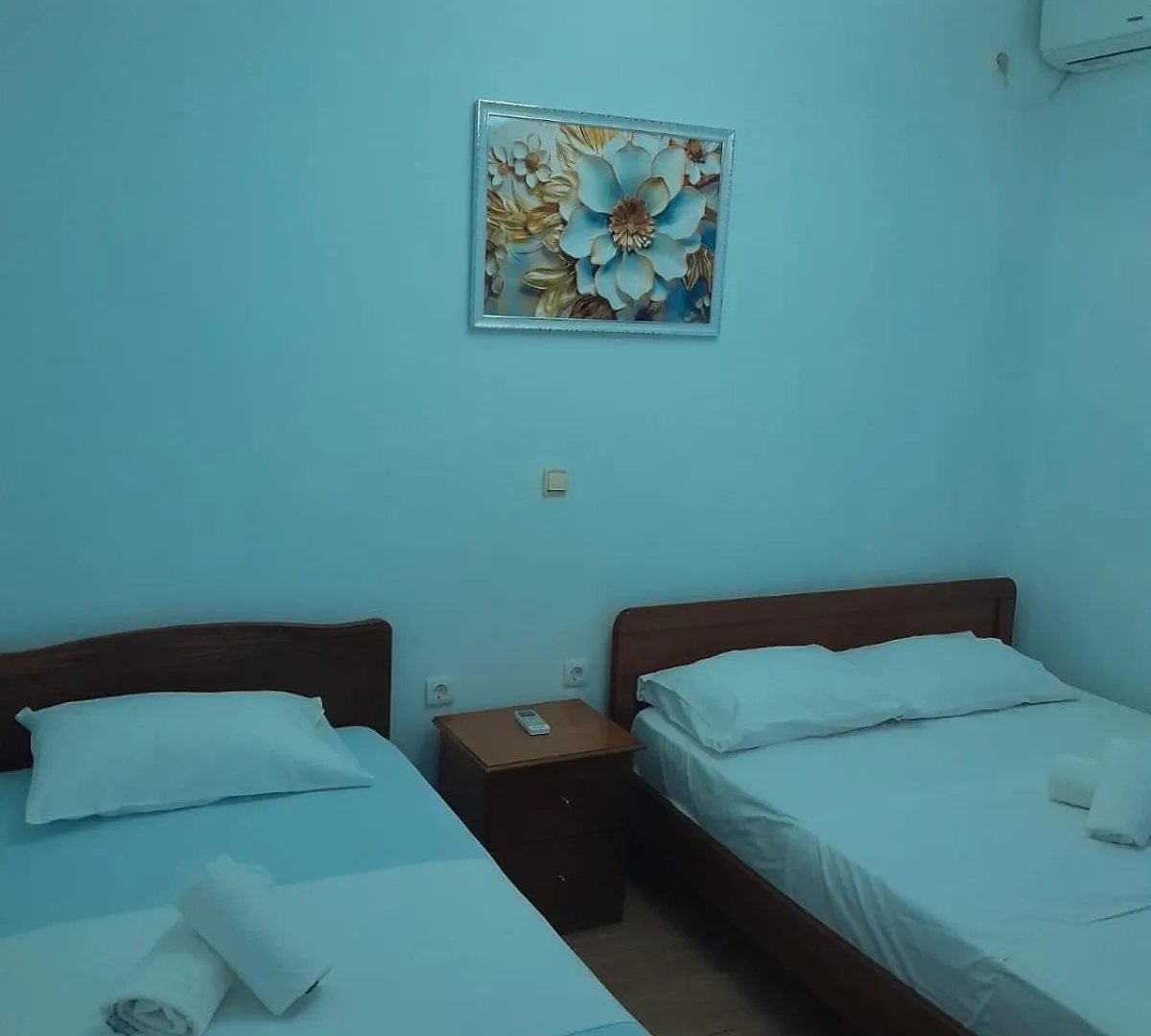 Guesthouse Mili Piqeras